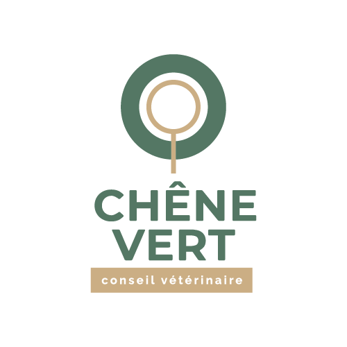 CHÊNE VERT